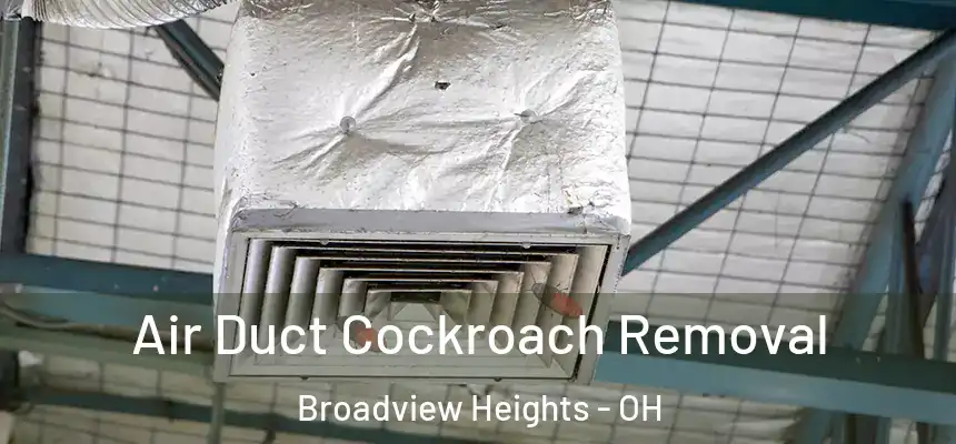  Air Duct Cockroach Removal Broadview Heights - OH