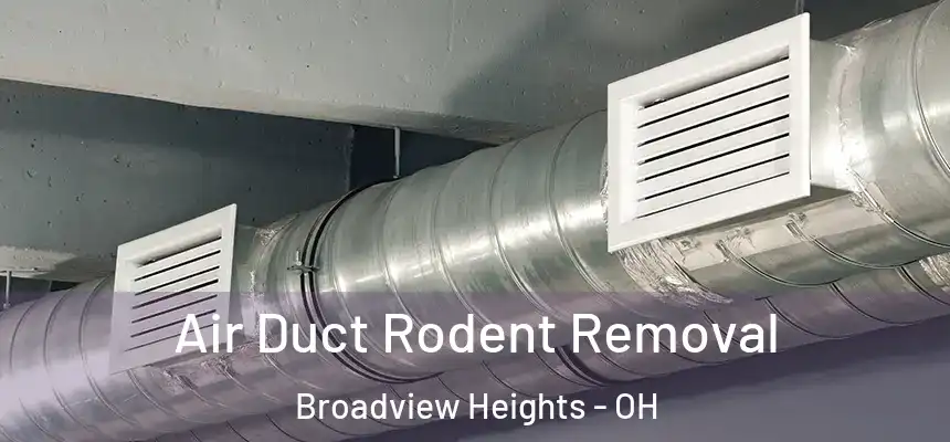 Air Duct Rodent Removal Broadview Heights - OH