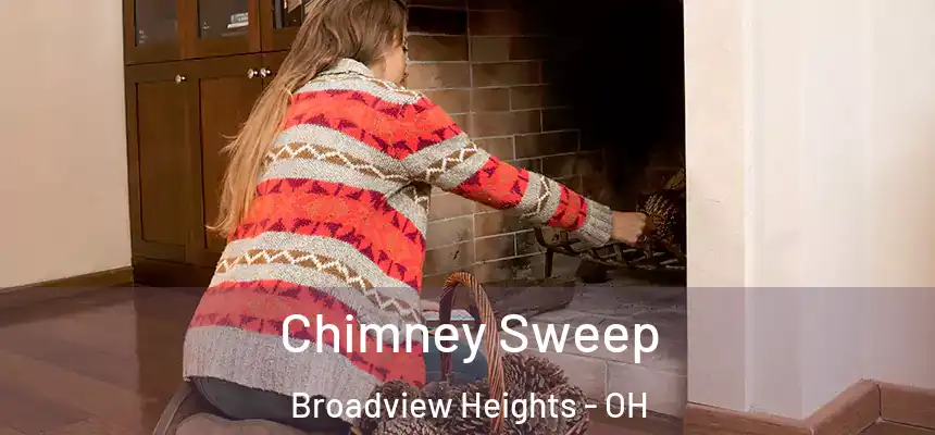  Chimney Sweep Broadview Heights - OH