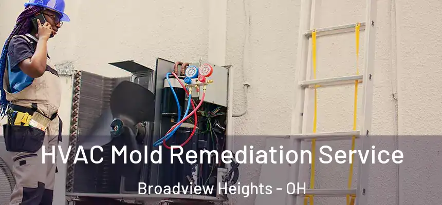 HVAC Mold Remediation Service Broadview Heights - OH