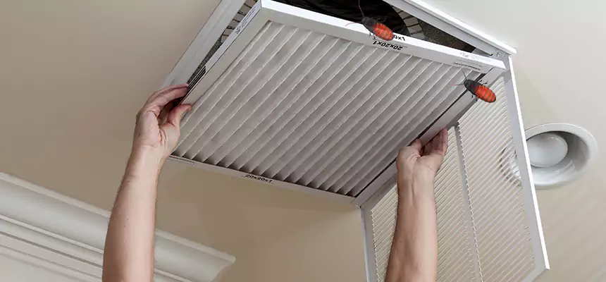 Preventive Cockroach-Proofing for Ducts in Broadview Heights