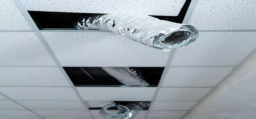 Affordable HVAC Sanitizing After Pest Removal in Broadview Heights