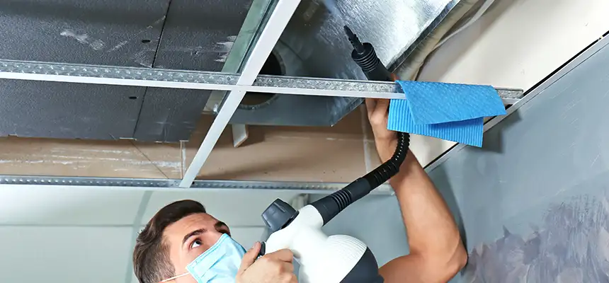 Our Air Duct Rodent Removal Services in Broadview Heights, OH