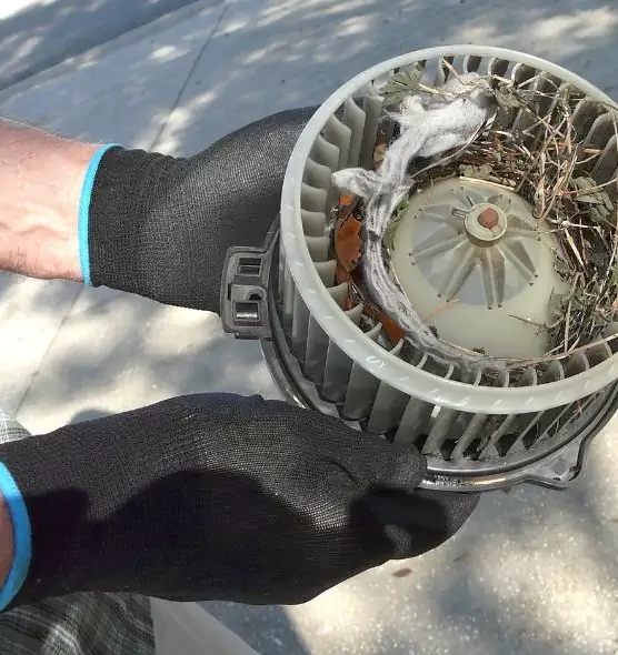 About Air Duct Mice Removal in Broadview Heights, OH