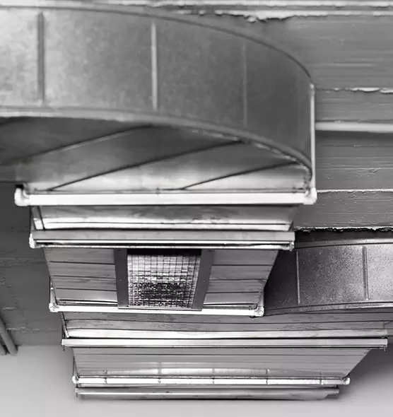 Professional Air Duct Pest Removal in Broadview Heights, OH