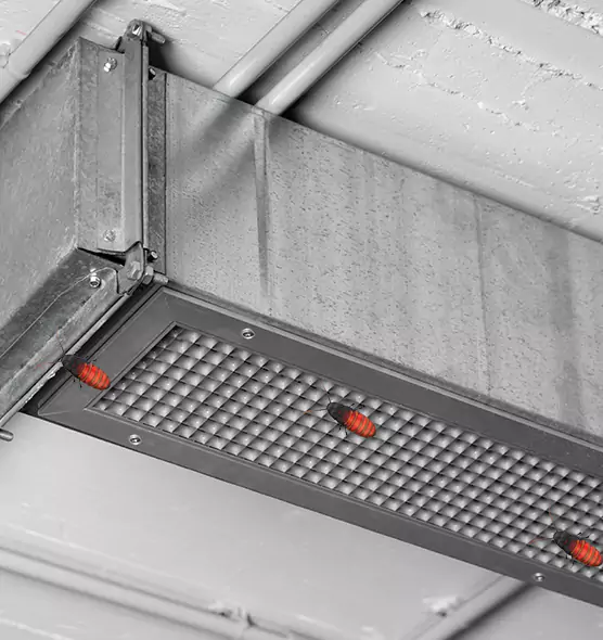 Affordable Insect Removal from Air Ducts in Broadview Heights, OH